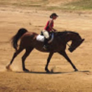 Meet your Posher, Peggy